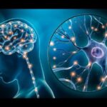 Qué cosas aumentan la inteligencia