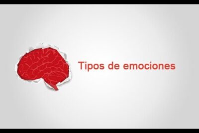Infografía sobre tipos de emociones y cómo se hace para ser feliz.