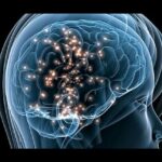 Cómo hacer que mi mente sea más inteligente