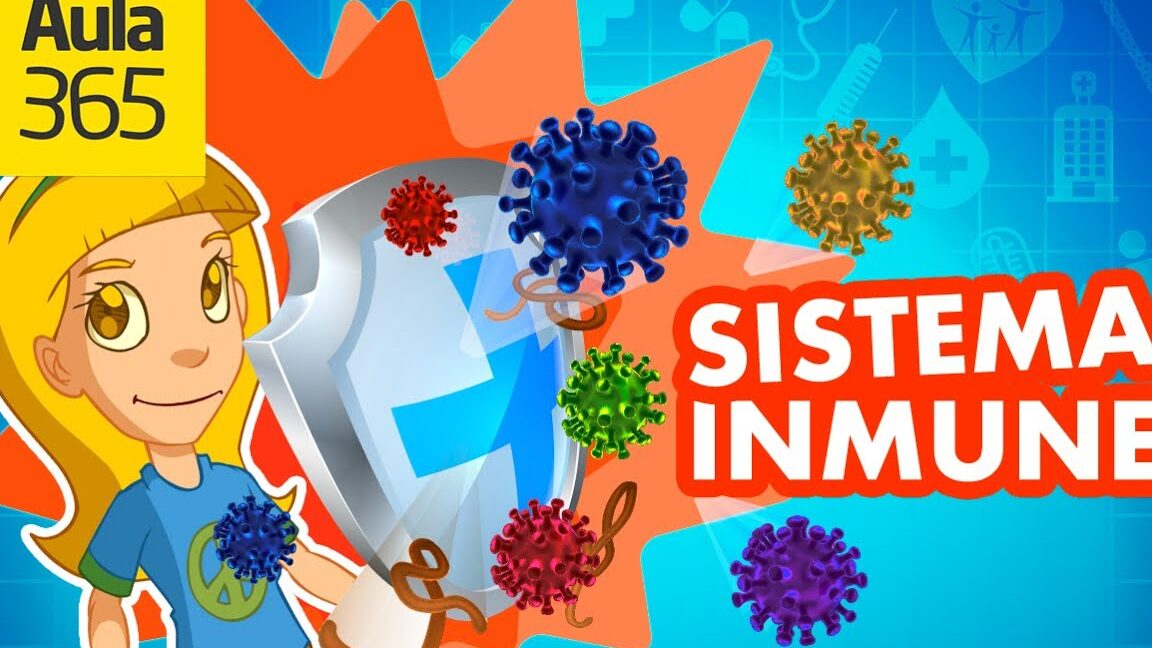 Qué hacer para prevenir enfermedades fortaleciendo el sistema inmune ilustrado.