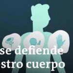 Qué hacer para protegerse de las enfermedades