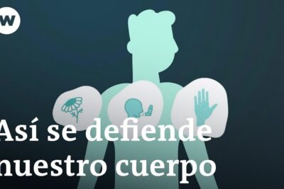 Qué hacer para protegerse de las enfermedades ilustrado con defensa natural del cuerpo