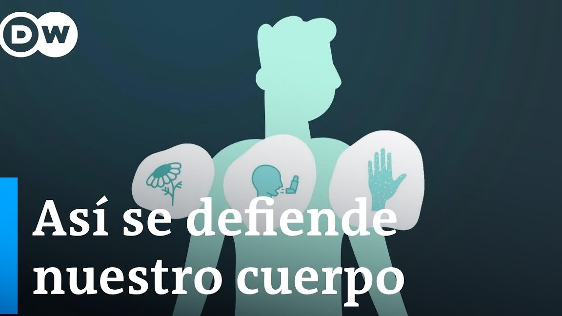 Qué hacer para protegerse de las enfermedades ilustrado con defensa natural del cuerpo