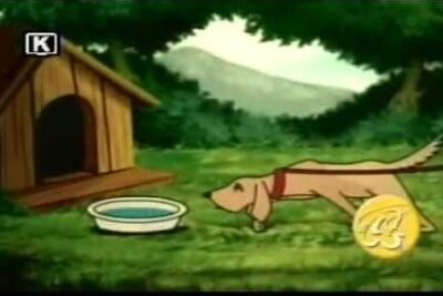 Perro atado junto a su caseta y cuenco en un jardín tranquilo, Qué se puede hacer para dormir toda la noche.