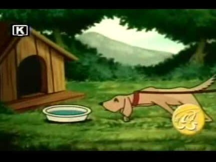 Perro atado junto a su caseta y cuenco en un jardín tranquilo, Qué se puede hacer para dormir toda la noche.