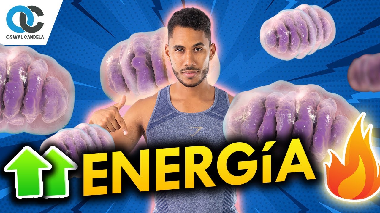 Cómo subir mi nivel de energía con consejos prácticos y visuales